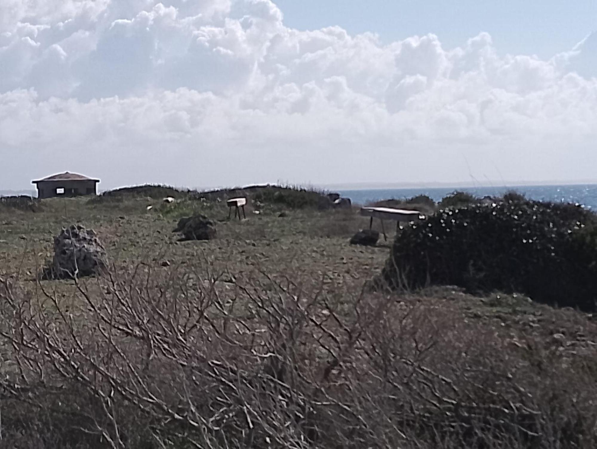 Punta Grossa Apartments By My Home Apulia ตอร์เลลาปิลโล ภายนอก รูปภาพ
