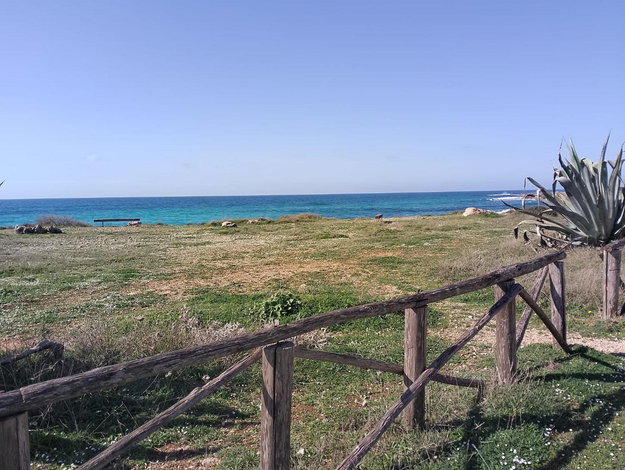 Punta Grossa Apartments By My Home Apulia ตอร์เลลาปิลโล ภายนอก รูปภาพ