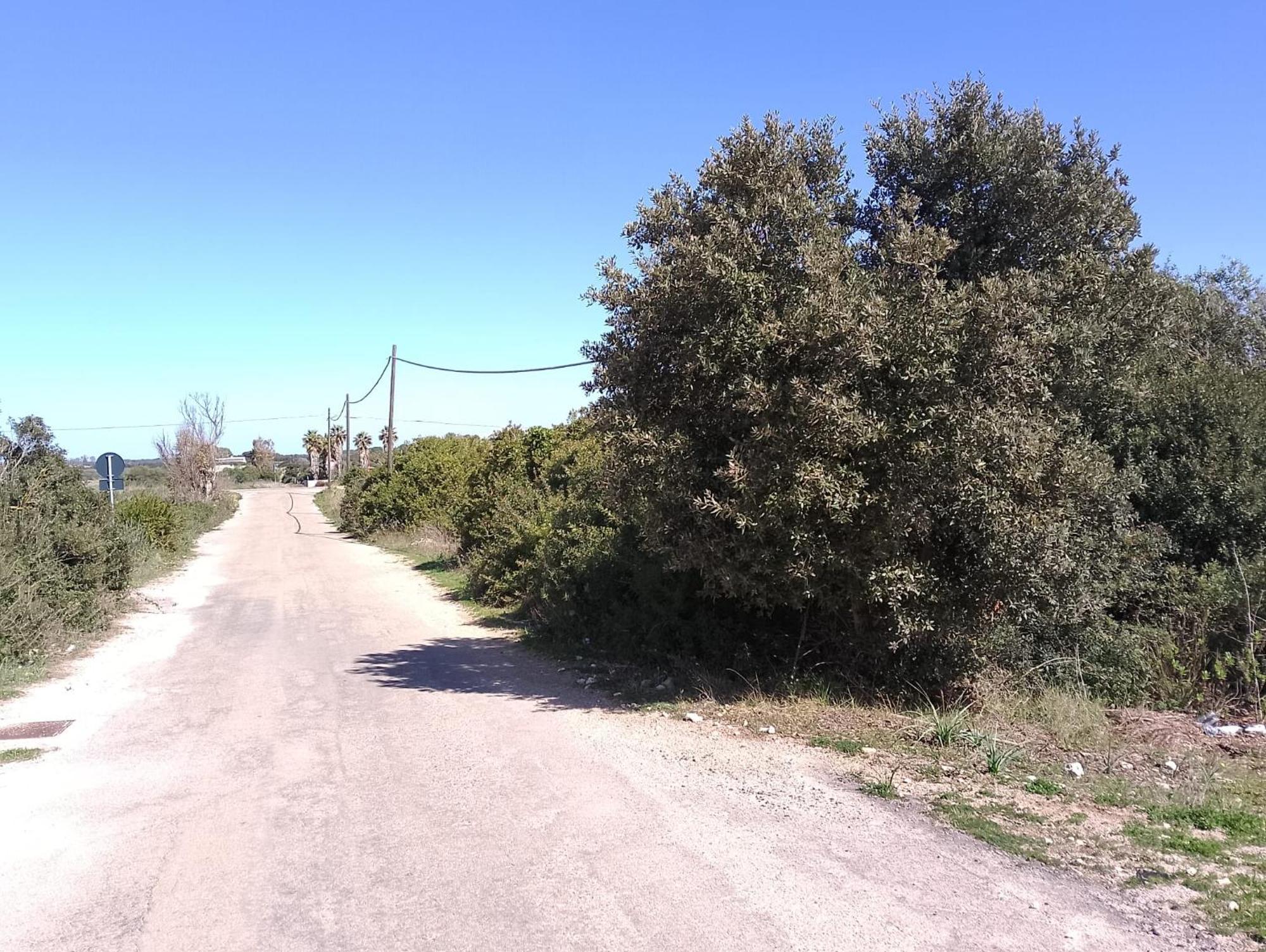 Punta Grossa Apartments By My Home Apulia ตอร์เลลาปิลโล ภายนอก รูปภาพ