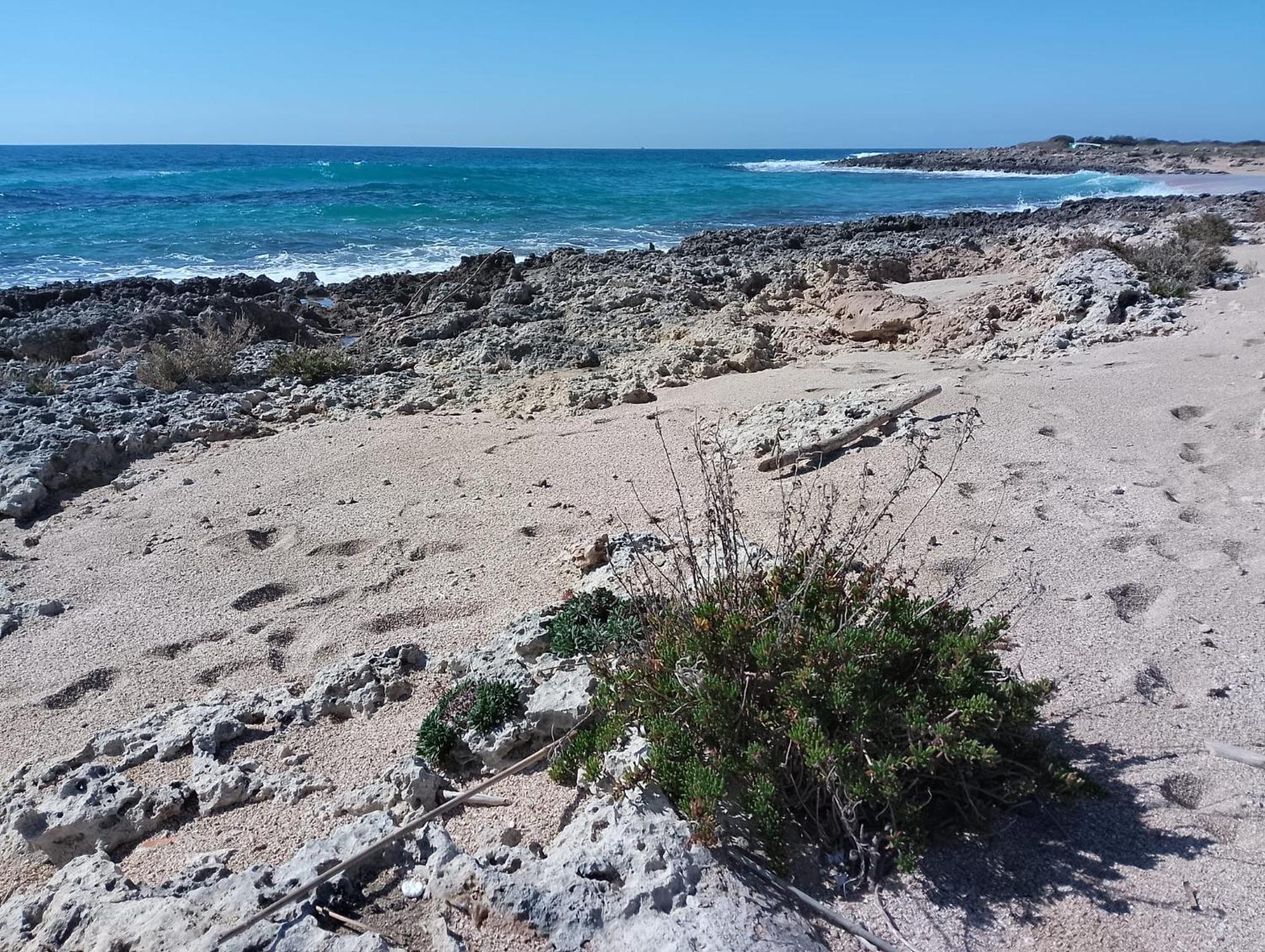 Punta Grossa Apartments By My Home Apulia ตอร์เลลาปิลโล ภายนอก รูปภาพ